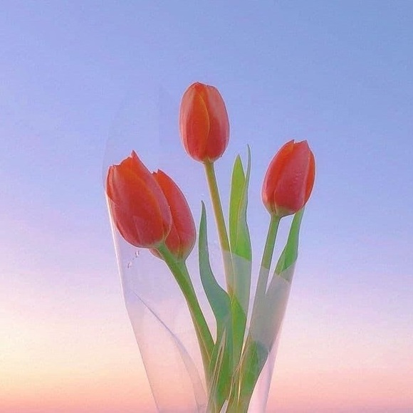 Meet your Posher, Sydney - Picture 1 of 1